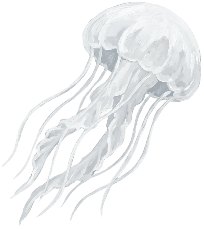 L'identité invisible